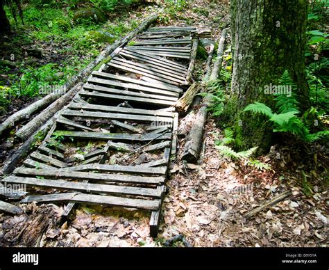 Broken Wooden Foot Bridge Stock Photo Alamy