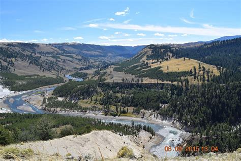 Specimen Ridge Yellowstone Nationalpark Lohnt Es Sich Mit Fotos