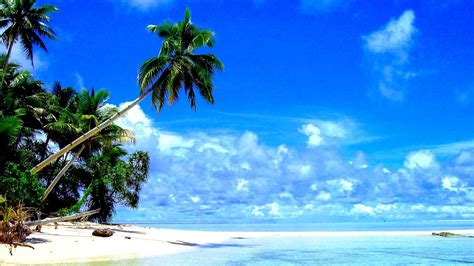 Tropical Beach Landscape Wallpapers Top Free Tropical
