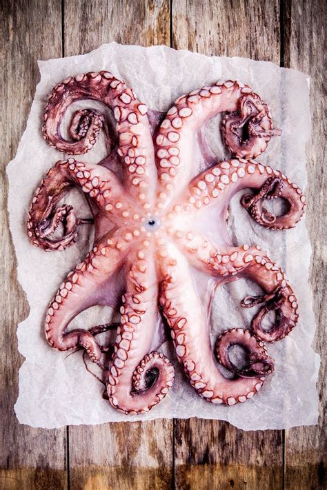 Whole Fresh Raw Octopus On A Paper Photo By Nblxer On Envato Elements