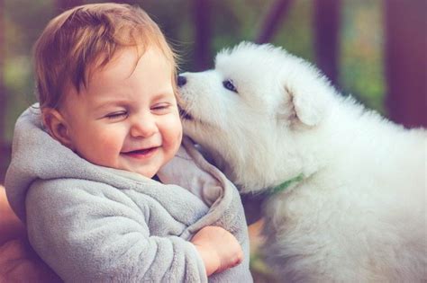 Cute Moments Of Puppies And Babies That Will Melt Your Heart Shrewdmommy
