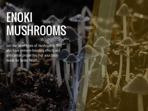 Magic Mushrooms Sex All Mushroom Info