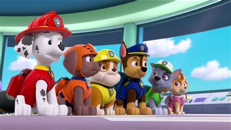 Pups And Katie Stop The Barking Kitty Crewquotes Paw Patrol Wiki