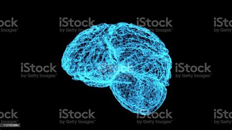 Human Brain Being Formed By Particles Plexus Structure Evolving Around