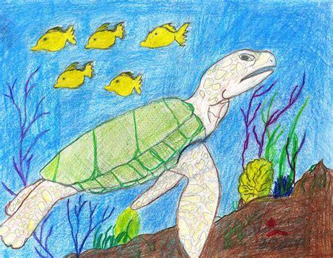Our database has everything you'll ever need, so enter & enjoy 3:50. Seaturtle Swimming The Reef Drawing by Fred Hanna