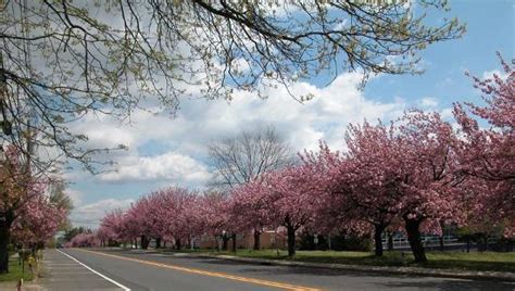 Fotos De Cherry Hill Imagens Selecionadas De Cherry Hill Nj Tripadvisor