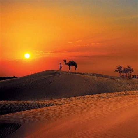 The Arabian Desert Desert Pictures Desert Life Desert Sunset