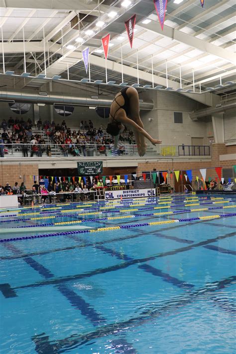 Aquatics Divers Secure 2nd And 4th In Season Opener Rattler Sports