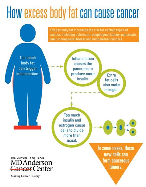 how does obesity cause cancer md anderson cancer center