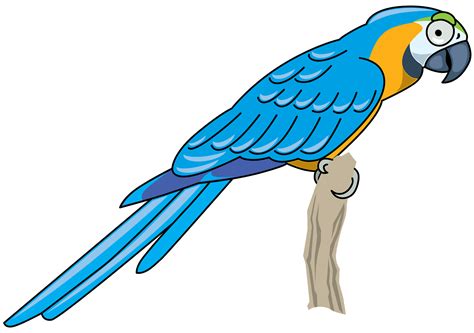 Parrot Clipart Png