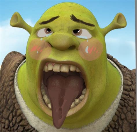 Shrek Weird Face
