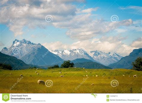 Pastoral New Zealand Landscape Stock Image Image Of Glenorchy Green