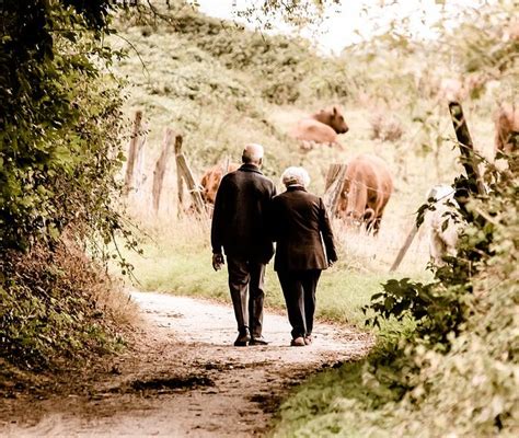 Senior Citizens Walking Monterey Bay Holistic Alliance