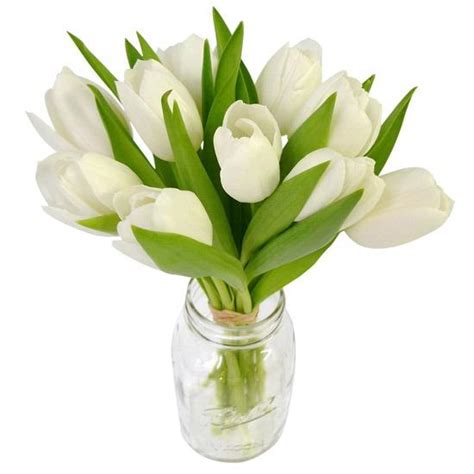 10 White Tulips Vase Online T And Flowers