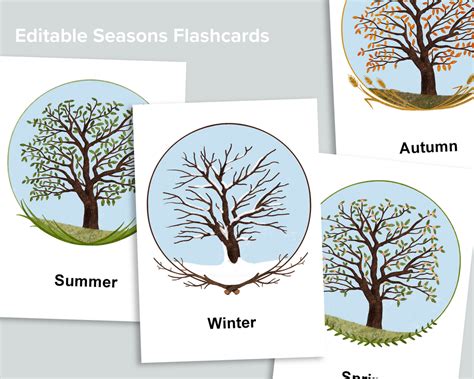 Editable Seasons Flashcards Mornings Together