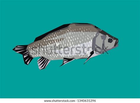 Carassius Fish Crucian Carp Stock Vector Royalty Free 1340631296