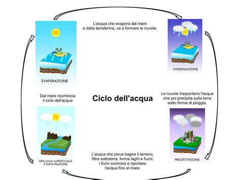 Gennaio, tempo di verifiche per la fine quadrimestre. Scuola & Dintorni: Ciclo dell'acqua