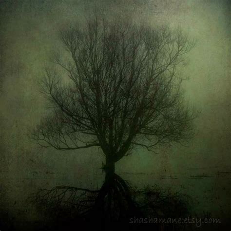 Pin By Storm 1 On Darknature Fine Art Photography Print Art