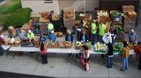 We did not find results for: Los Angeles Regional Food Bank Volunteer - My Happy Village