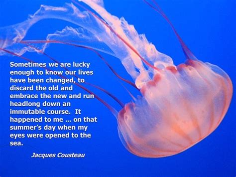 Our entire biological system, the brain and the earth itself. Marine Biologist Quotes. QuotesGram