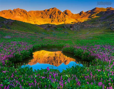 Colorado Wildflowers Surround Alpine Pond This Is An Image Flickr
