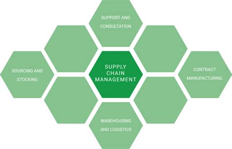 Supply Chain Management Lohmann Pharma Herstellung