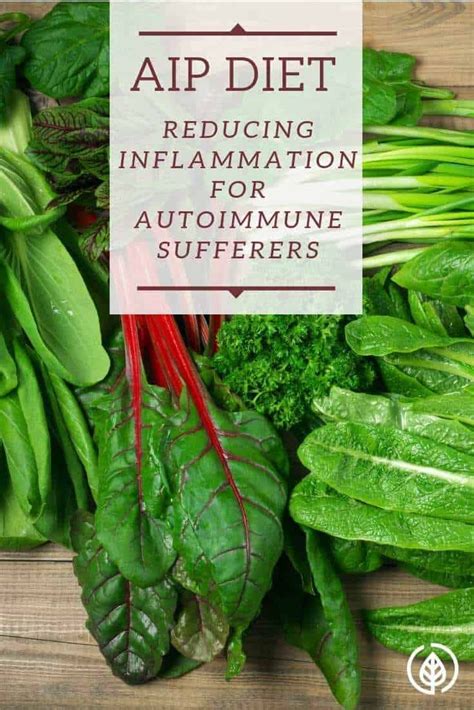 Aip Diet Solution For Autoimmune Sufferers Aip Diet Rheumatoid