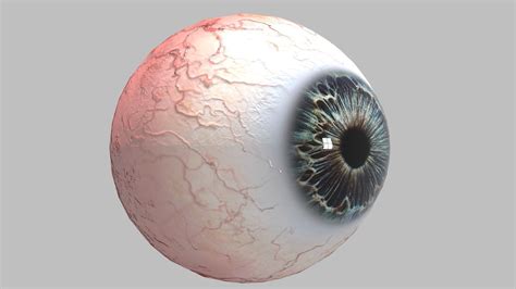Photo Realistic Eye 3d Model Game Ready Cgtrader