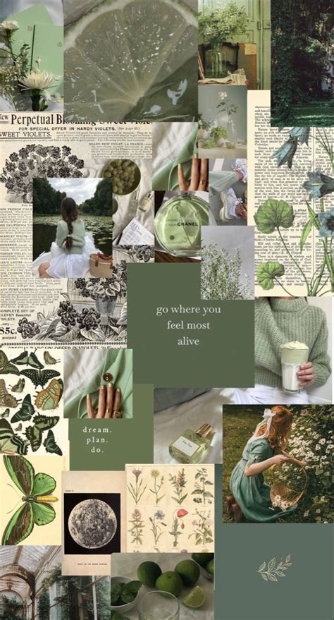 We have now placed twitpic in an archived state. sage green aesthetic🌿 | Sage green wallpaper, Green ...