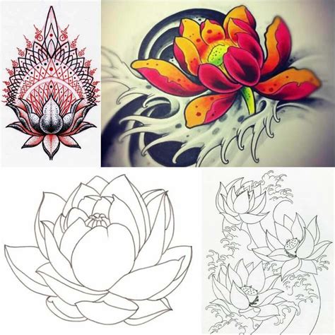 Japanese Lotus Flower Tattoo Design E Ntangled