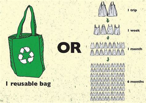 Reusable Bag Program Say No To Plastic Nigeria March 2013