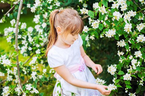 46 Unique Flower Inspired Baby Names And Their Meanings Hgtvs