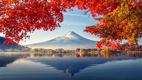 See more ideas about asian landscape, chinese landscape, asian art. Interpreting Asia's regulatory landscape | Treasury Today
