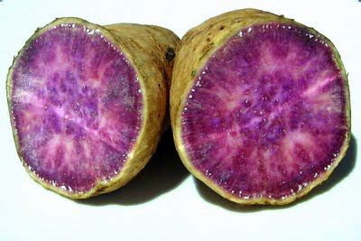 We did not find results for: Caveman Eating: Okinawan Purple Sweet Potatoes