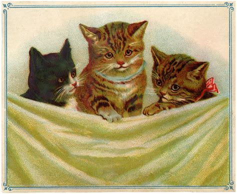 Vintage Kitties Clip Art The Graphics Fairy