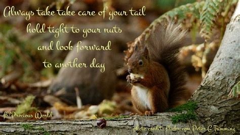 Precious World Always Take Care Of Your Tail Hold Tight Facebook