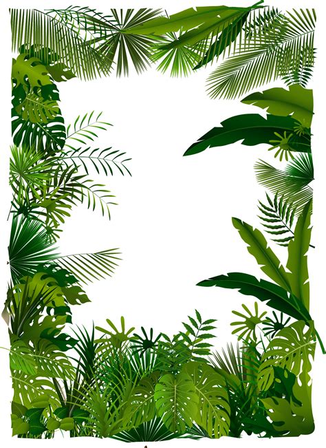 vector tropical leaves png great for your new graphic designs instituto