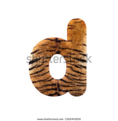 Tiger Letter D Small D Feline Stock Illustration Shutterstock