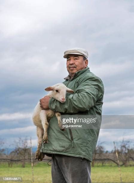 Man Holding Lamb Photos And Premium High Res Pictures Getty Images