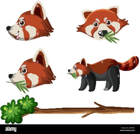 Set Of Cute Red Pandas Cartoon Illustration Stock Vector Image And Art
