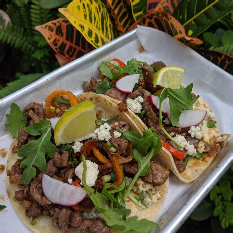 Maybe you would like to learn more about one of these? Munecas Downtown Taco Garden Menu Gainesville Order Online