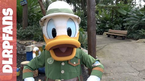 Donald Duck At Animal Kingdom Walt Disney World 2017 Youtube