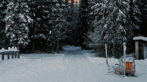 Winter Snow Road Trees Hd 4k 5k Nature Hd Wallpaper