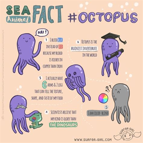 An Octopus And Other Sea Animals Are Depicted In This Info Sheet With
