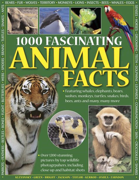 1000 Fascinating Animal Facts Covers Marked From Shop Display