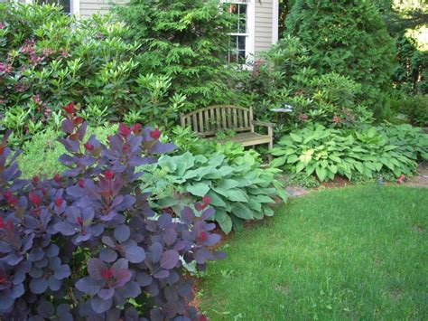 20 Garden Shrubs For Landscaping Ideas You Cannot Miss Sharonsable
