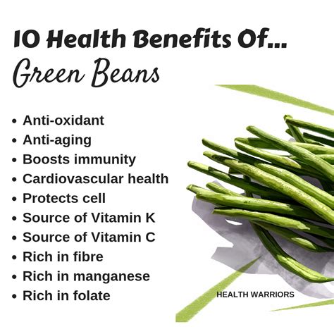 Vegetable Beans Benefits Health Benefits