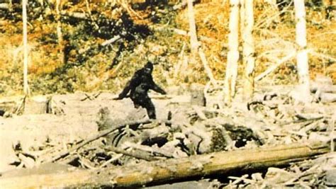 California Ranked As Second Best Place To Find Sasquatch