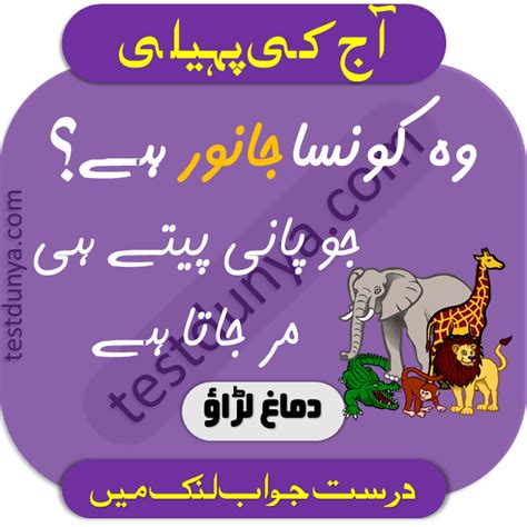 Tricky riddles have an extensive history in the history of man. Riddles in Urdu for Kids with Answers in 2020 | Riddles ...