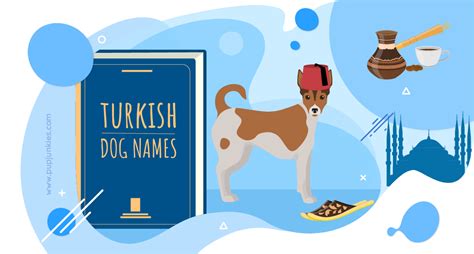 102 Most Popular Turkish Dog Names Of 2021
